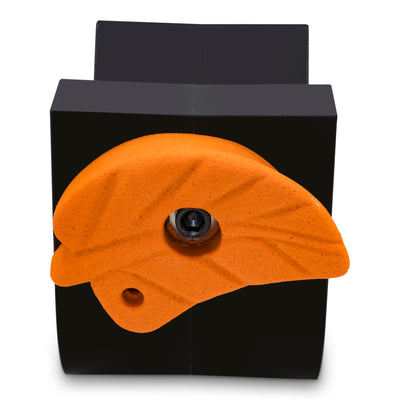 Fun Rock Climbing Holds - Rocktober Leaves