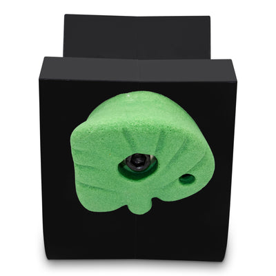 Fun Rock Climbing Holds - Rocktober Leaves